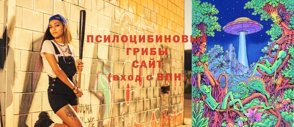 мескалин Гусиноозёрск