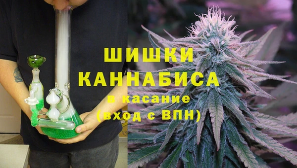 соль ск Гусев