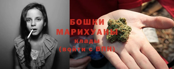соль ск Гусев