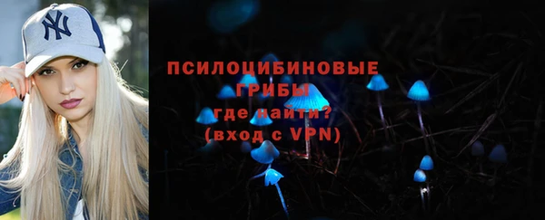 соль ск Гусев