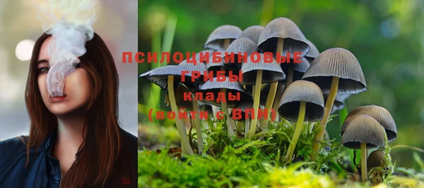 ALPHA PVP Гусь-Хрустальный